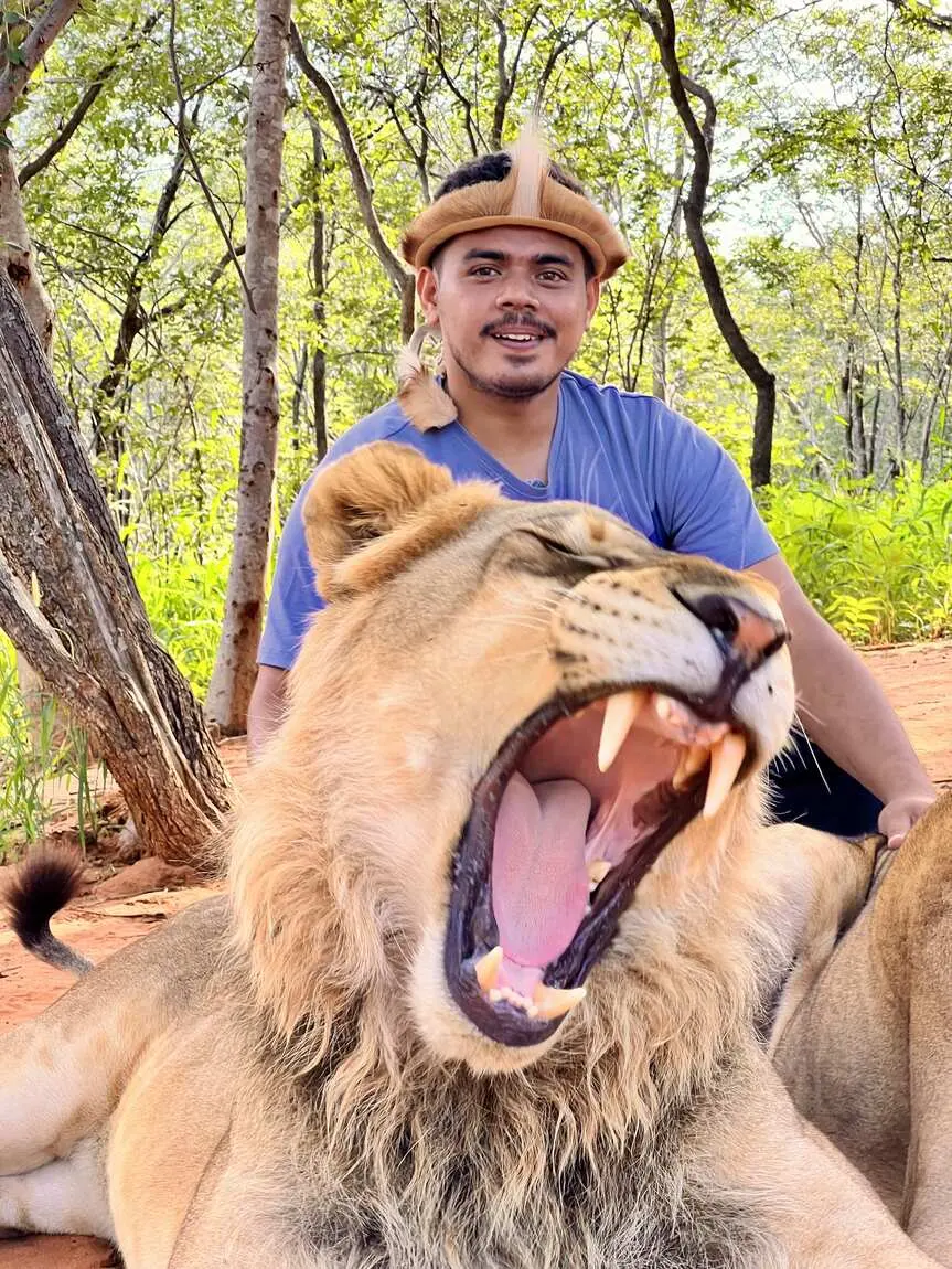 Saif sitting beside a yawning lion